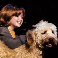 ANNIE Set To Open Tonight At Beef And Boards, Runs Through 7/3